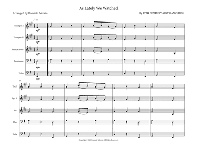 As Lately We Watched