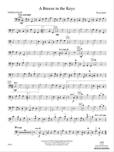 A Breeze in the Keys: String Bass