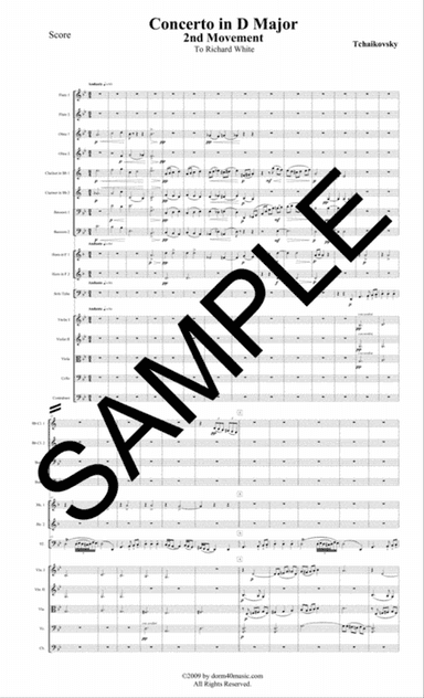 Concerto in D Major for Tuba and Orchestra – 2nd Movement