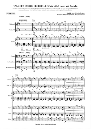 VALS CU 3 CULORI SI 5 PETALE (Waltz with 3 colors and 5 petals) (instrumental miniature with 3 nucle
