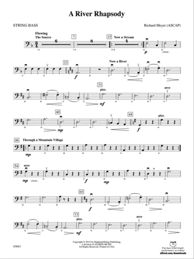 A River Rhapsody: String Bass