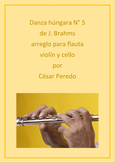 Danza hungara N° 5 para flauta, violín y cello