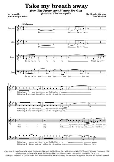 Take My Breath Away (love Theme)