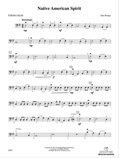 Native American Spirit: String Bass