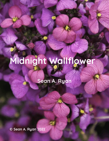 Midnight Wallflower