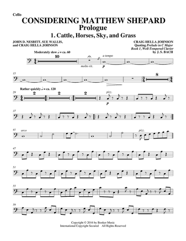 Considering Matthew Shepard - Cello