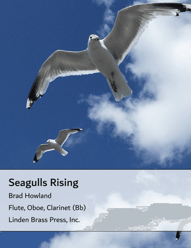 Seagulls Rising for Woodwind Trio