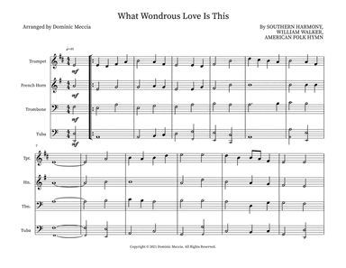 What Wondrous Love Is This