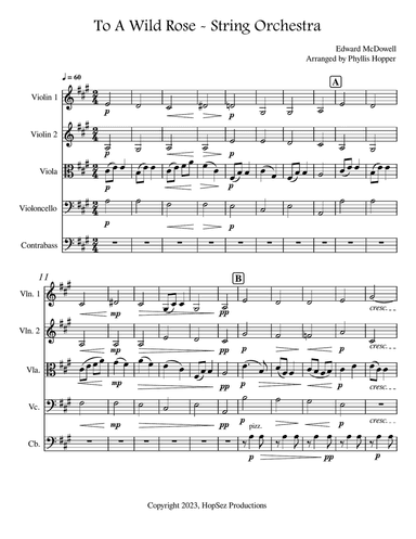 To A Wild Rose - String Orchestra