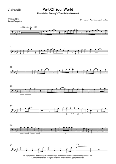 Part Of Your World (reprise)
