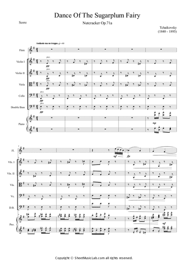 Nutcracker Op.71a - Dance Of The Sugarplum Fairy