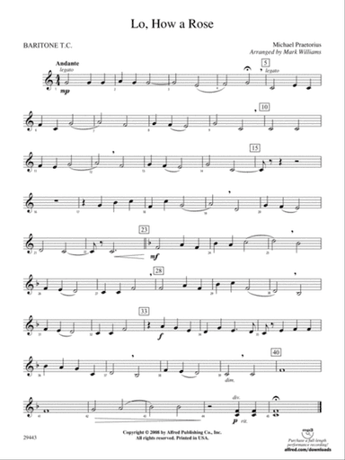 Lo, How a Rose: Baritone T.C.