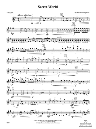 Secret World: 1st Violin