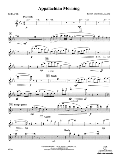 Appalachian Morning: Flute