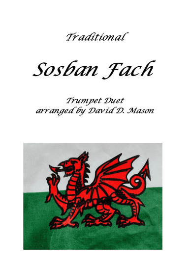 Sosban Fach