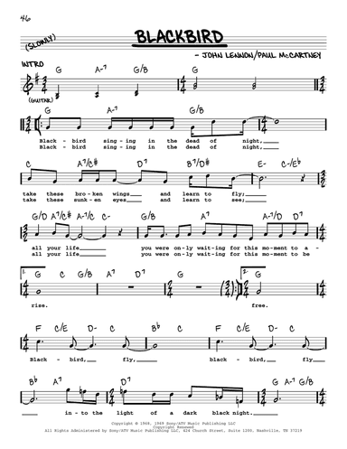 Blackbird