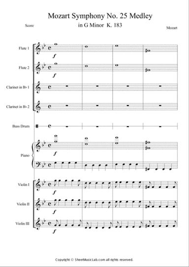 Symphony No. 25 in G minor, K. 183 (Mov.1~4 Medley)