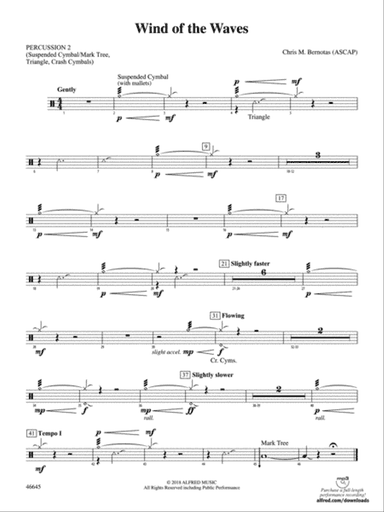 Wind of the Waves: 2nd Percussion