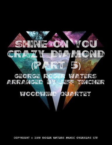 Shine On You Crazy Diamond (Part 5)