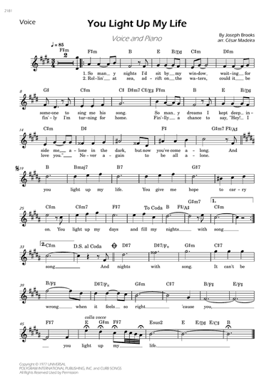 You Light Up My Life