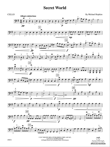 Secret World: Cello
