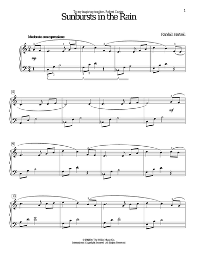 Sunbursts In The Rain