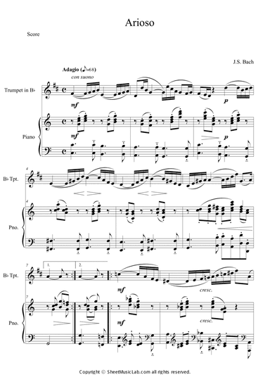 Arioso from Cantata BWV 156 (Adagio) in C