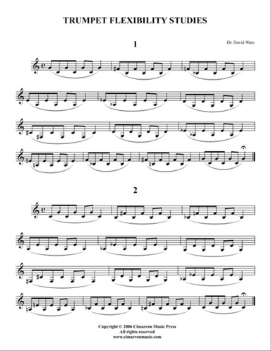 Flexibility Studies for Trumpet