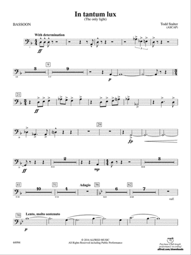 In tantum lux: Bassoon