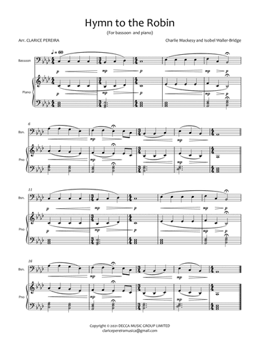 A Hymn For The Robin