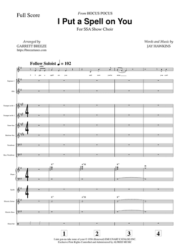 I Put A Spell On You