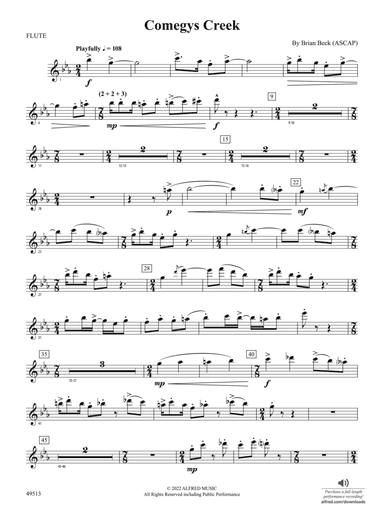 Comegys Creek: Flute