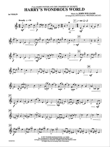 Harry's Wondrous World (from Harry Potter and the Chamber of Secrets): 1st Violin