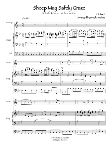 Sheep May Safely Graze (Trumpet & Organ)