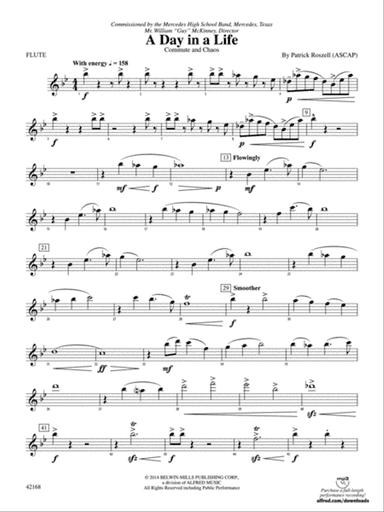 A Day in a Life: Flute
