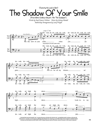 The Shadow Of Your Smile