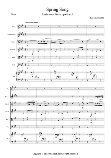 Lieder ohne Worte Op.62 No.6