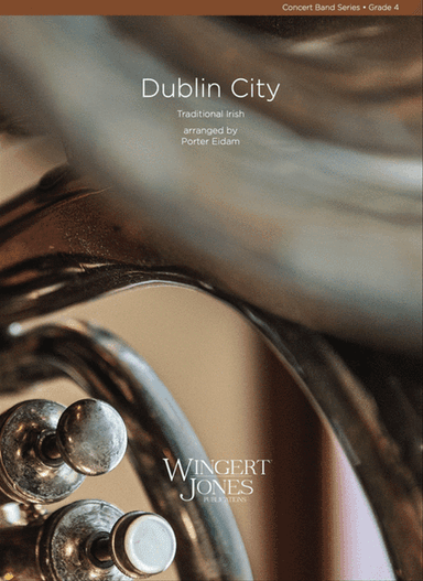 Dublin City
