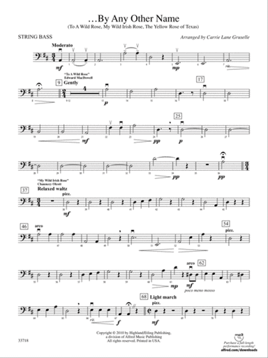 ...By Any Other Name: String Bass