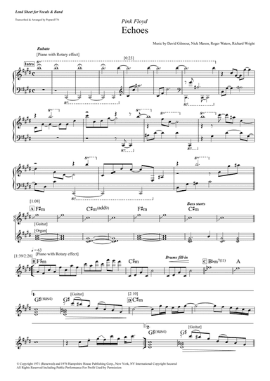 Echoes