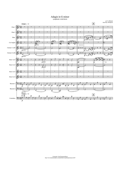 Albinoni: Adagio in G minor - symphonic wind duodectet/bass