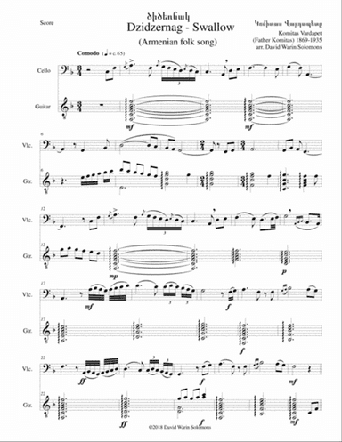 Swallow ԾԻԾԵՌՆԱԿ (Dzidzernag) arranged for cello and guitar