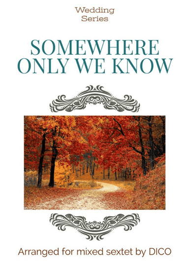 Somewhere Only We Know