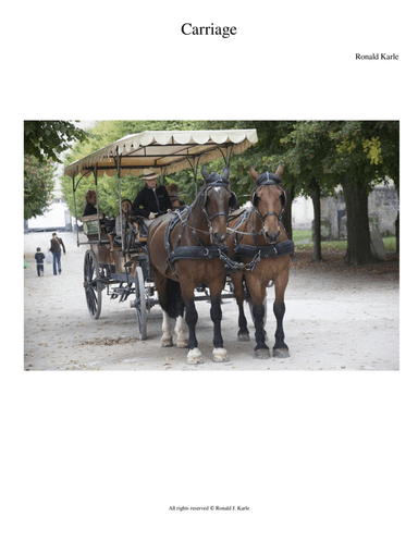 Carriage