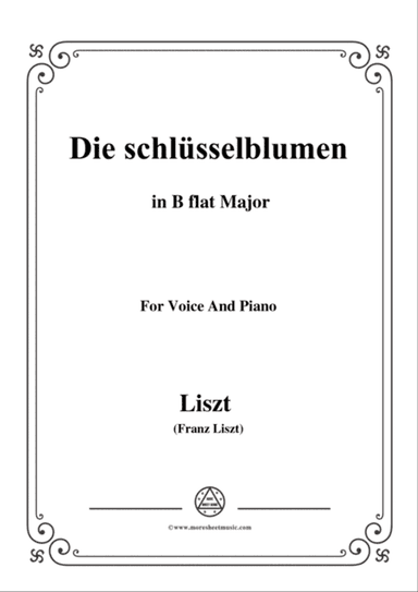 Liszt-Die schlüsselblumen in B flat Major,for Voice and Piano