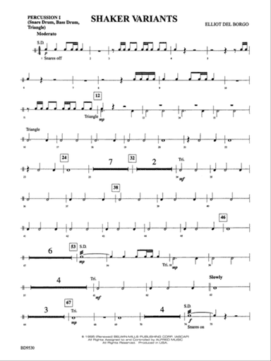 Shaker Variants: 1st Percussion