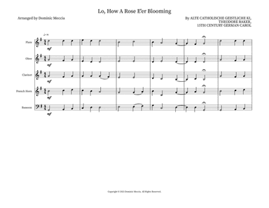 Lo, How A Rose E'er Blooming