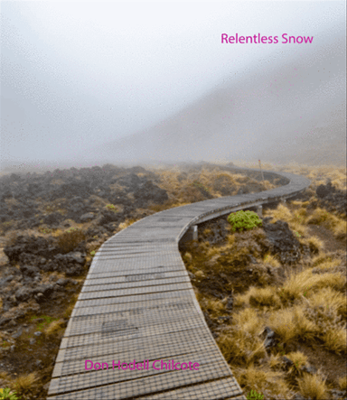 Relentless Snow