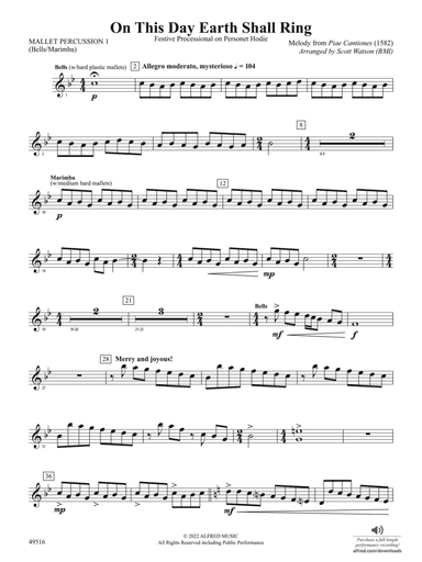On This Day Earth Shall Ring: Mallets