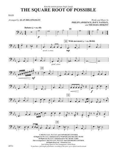 The Square Root of Possible: String Bass